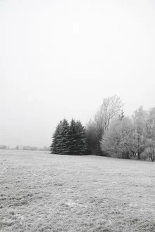 Winter Wonderland - Photographie d'art par Studio Na.hili