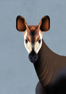 Okapi - Photographie d'art par Dieter Braun