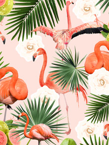 Uma Gokhale, Goyave Flamingo