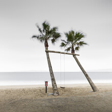 Ronny Behnert, Palm tree swing (Japon, Asie)