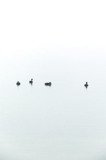 Studio Na.hili, flottant entre brouillard et mer (Allemagne, Europe)