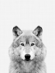 Vivid Atelier, Wolf (Black and White) (Royaume-Uni, Europe)