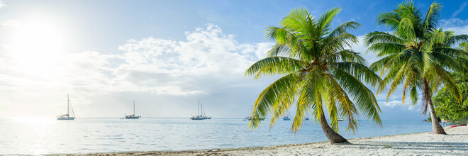 Jan Becke, Palm beach en mer du Sud (Polynésie française, Océanie)