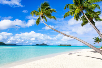 Jan Becke, Palm beach à Bora Bora en Polynésie française (Polynésie française, Océanie)