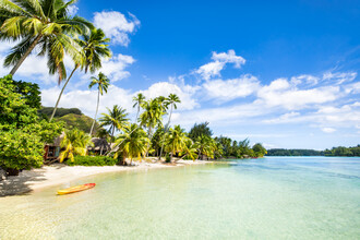 Jan Becke, Vacances sur une île tropicale des mers du Sud (Polynésie française, Océanie)