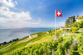 Jan Becke, Les terrasses viticoles de Lavaux près de la (Suisse, Europe)