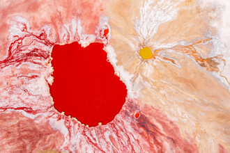 Felix Dorn, Bleeding planet (Chili, Amérique latine et Caraïbes)
