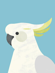 Dan Hobday, Parrot (Royaume-Uni, Europe)
