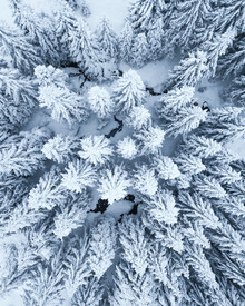 Lukas Saalfrank, arbres couverts de neige d'en haut en hiver (Allemagne, Europe)