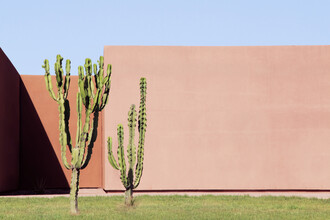 Rupert Höller, Cactus Brothers (Maroc, Afrique)