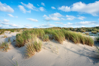 Jan Becke, Paysage de dunes (Allemagne, Europe)