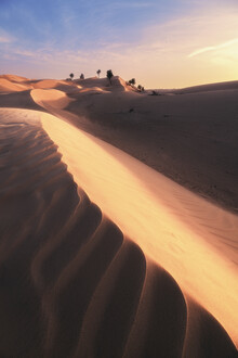 Jean Claude Castor, Wahiba Sands Wüste à Oman bei Sonnenuntergang