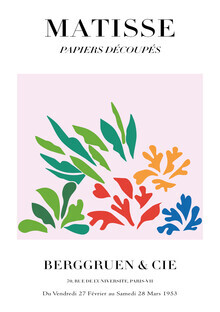 Art Classics, Matisse - Papiers Découpés, design botanique coloré