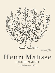 Classiques de l'art, Matisse - Le Buisson (Allemagne, Europe)