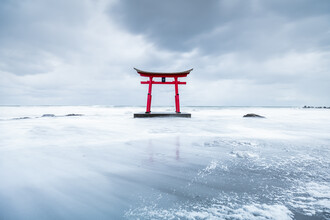 Jan Becke, Torii rouge en hiver (Japon, Asie)