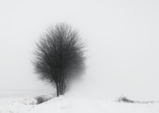 Manuela Deigert, Frozen in the cold (Allemagne, Europe)