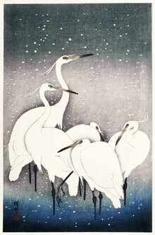 Japanese Vintage Art, Group of Egrets par Ohara Koson (Japon, Asie)