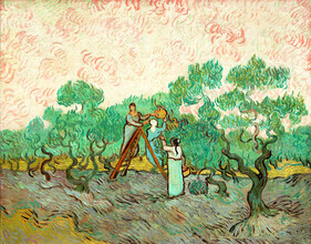 Classiques de l'art, Femmes cueillant des olives par Vincent van Gogh (Allemagne, Europe)