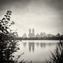 Alexander Voss, New York - Central Park