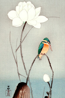 Art vintage japonais, Martin-pêcheur avec fleur de lotus