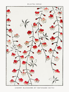 Art vintage japonais, Watanabe Se : Illustration de fleurs de cerisier