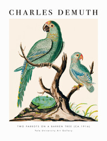 Art Classics, Charles Demuth: Two Parrots on a Barren Tree (États-Unis, Amérique du Nord)