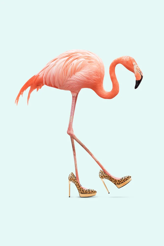 Fancy Flamingo - Fotografia Fineart di Jonas Loose