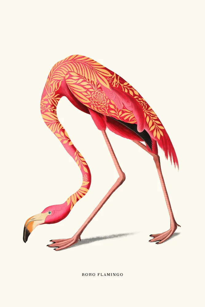 Boho Flamingo - Fotografia Fineart di Jonas Loose