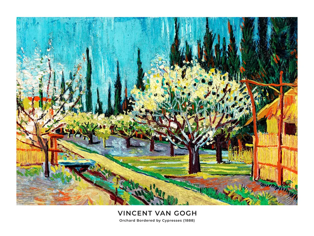 Vincent Van Gogh: Frutteto delimitato da cipressi - mostra. poster - Fotografia Fineart di Art Classics