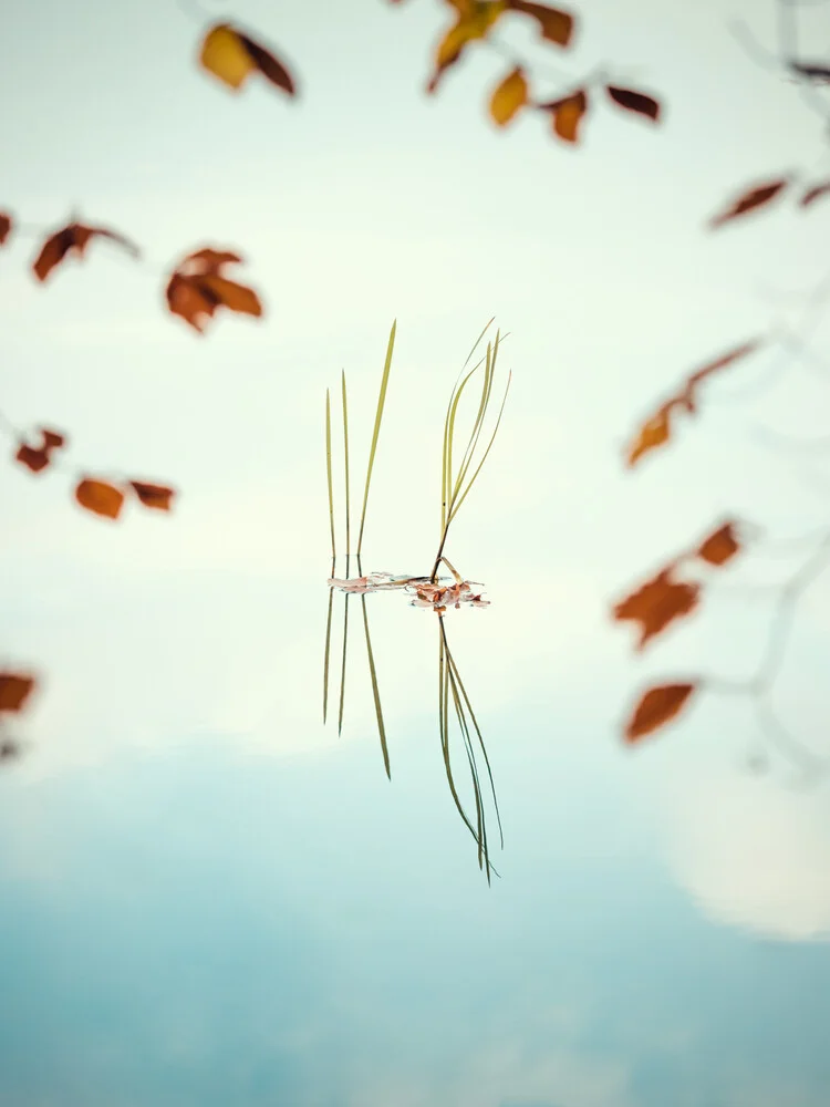 Lago in autunno - fotokunst von Holger Nimtz