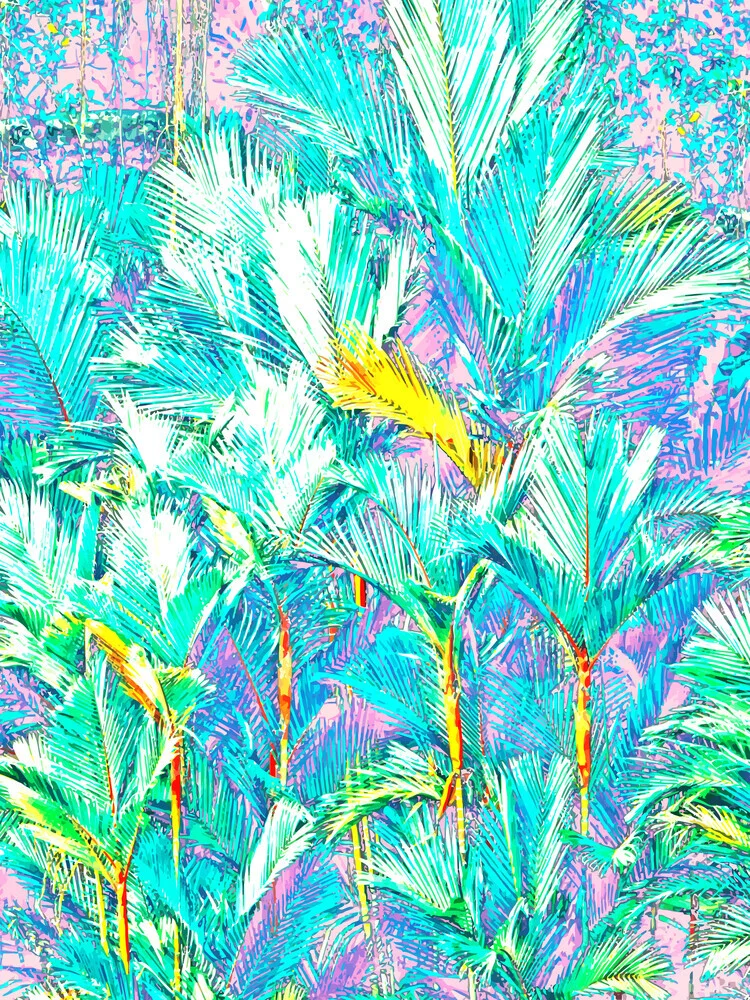 Palm Garden - Fotografia Fineart di Uma Gokhale