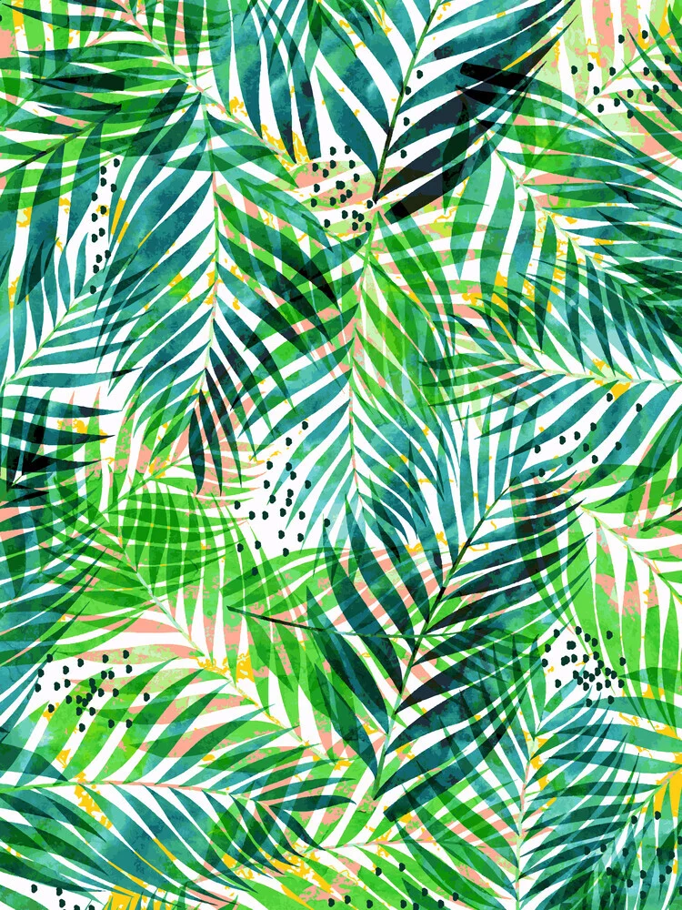Jungle Palm - Fotografia Fineart di Uma Gokhale
