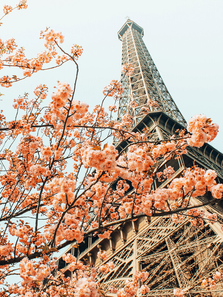Parigi in primavera - Fotografia Fineart di Uma Gokhale