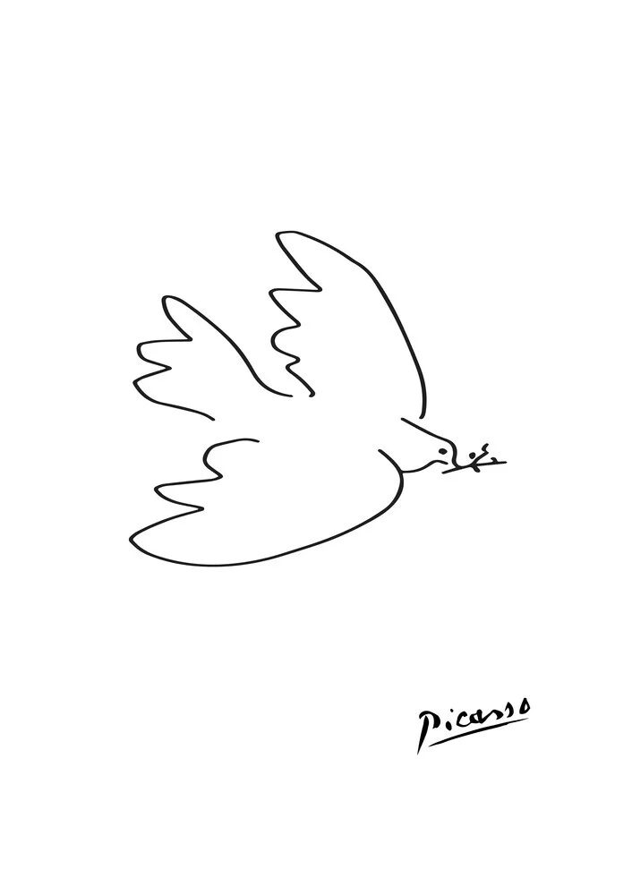 Picasso Dove - Fotografia Fineart di Art Classics
