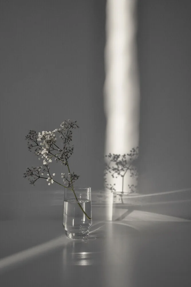 ramo di fiori in un raggio di sole magico - Fotografia Fineart di Studio Na.hili