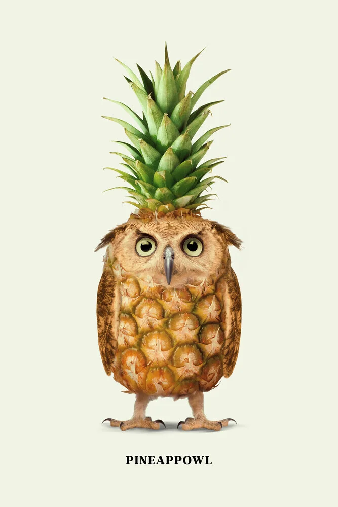 Pineappowl - Fotografia Fineart di Jonas Loose