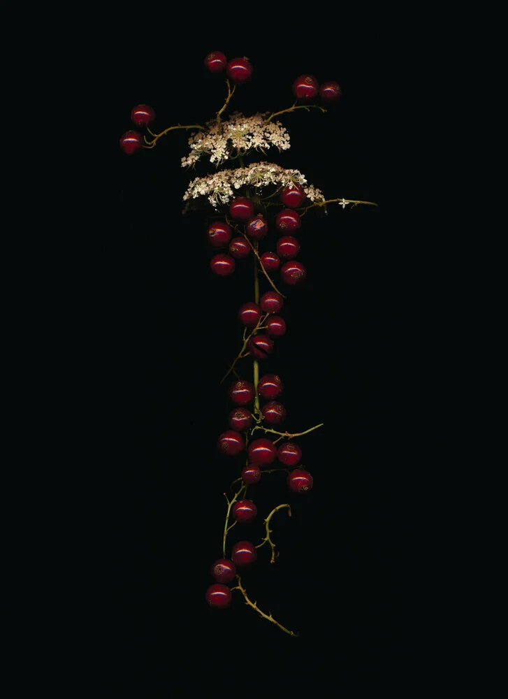 Swetlana - Fotografia Fineart di Ramona Reimann