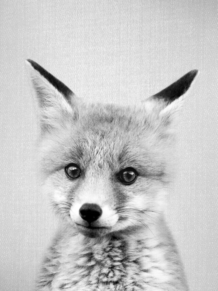 Baby Fox - Bianco e nero - Fotografia Fineart di Gal Pittel