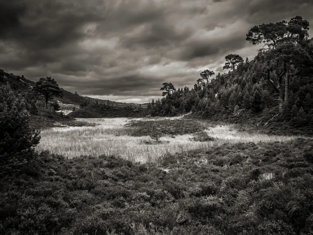 Le Highlands in Scozia - fotokunst von Jörg Faißt