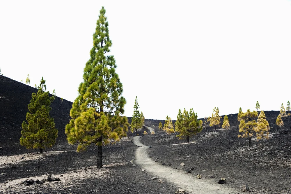der Weg zum Vulkan - Fotografia Fineart di Daniel Schoenen