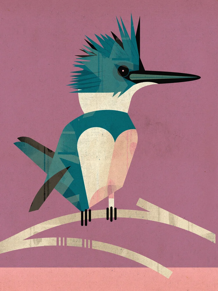 Kingfisher - Fotografia Fineart di Dieter Braun