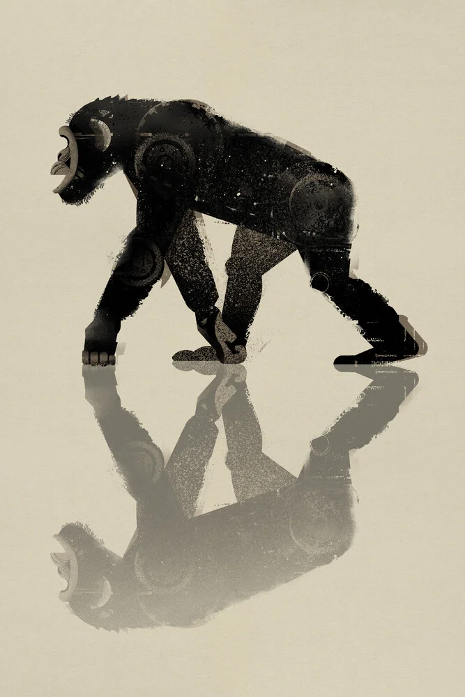 Scimpanzé - Fotografia artistica di Dieter Braun