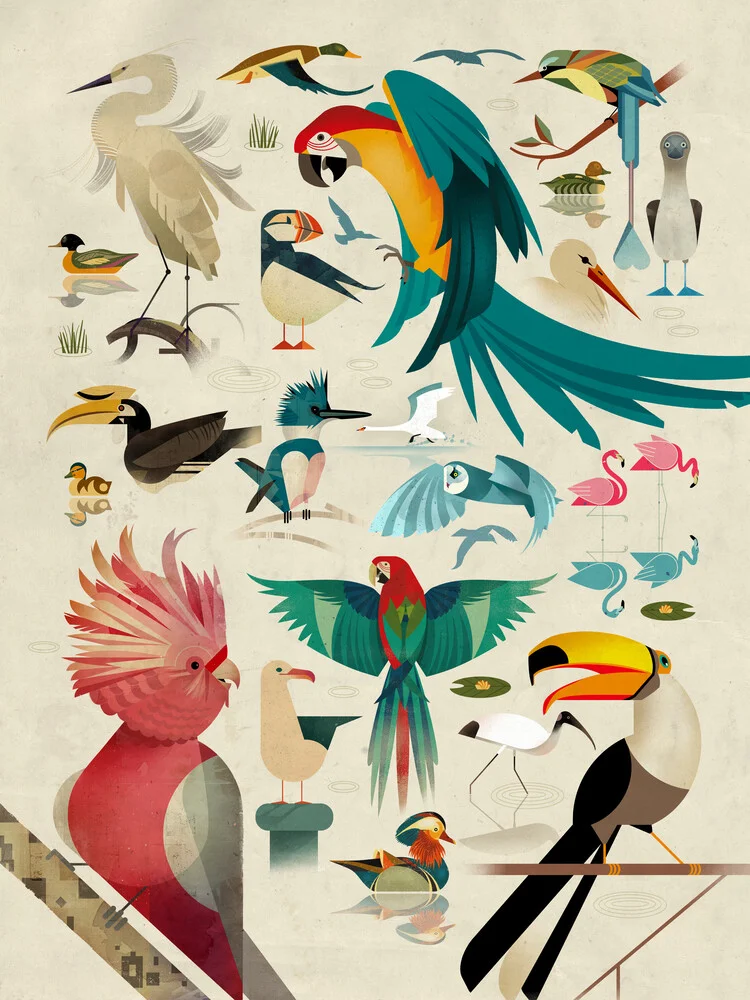Uccelli - Fotografia Fineart di Dieter Braun