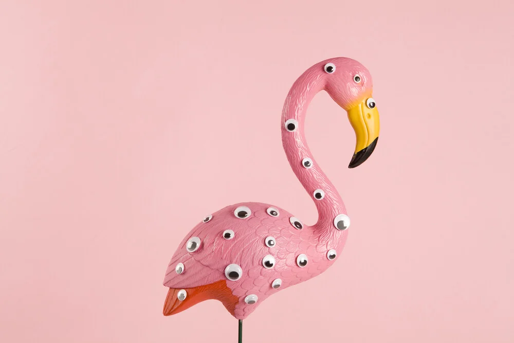 fenicottero rosa e strano - Fotografia Fineart di Loulou von Glup