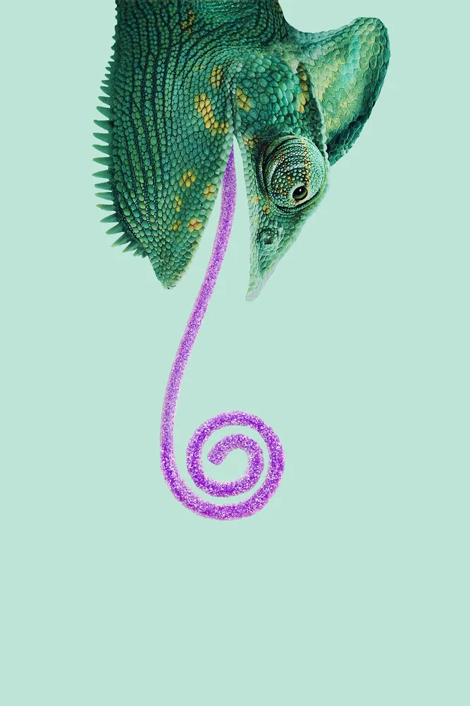 Candy Chameleon - Fotografia Fineart di Jonas Loose