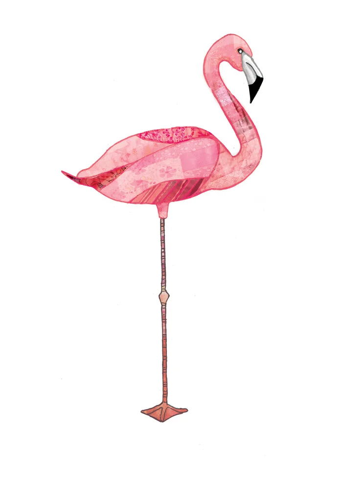 Pink Flamingo - Fotografia Fineart di Katherine Blower