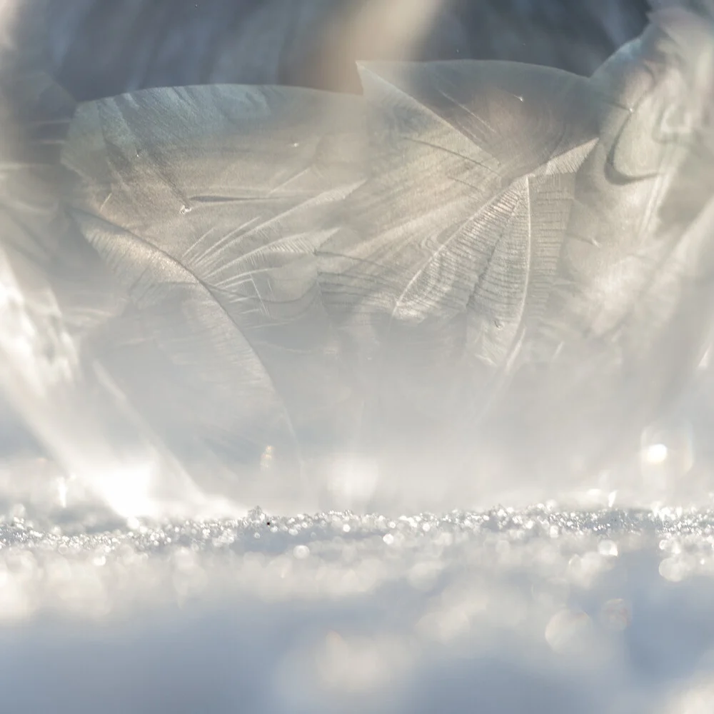 Bolla di sapone congelata alla luce del sole - Fotografia Fineart di Nadja Jacke