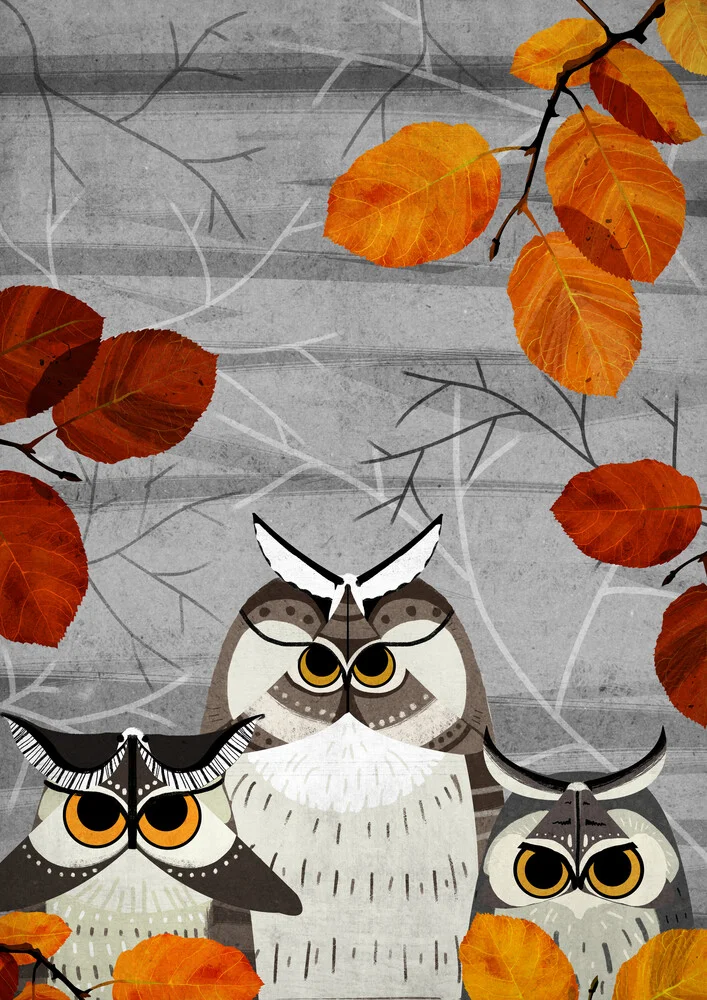 Owl Moths - Fotografia Fineart di Katherine Blower