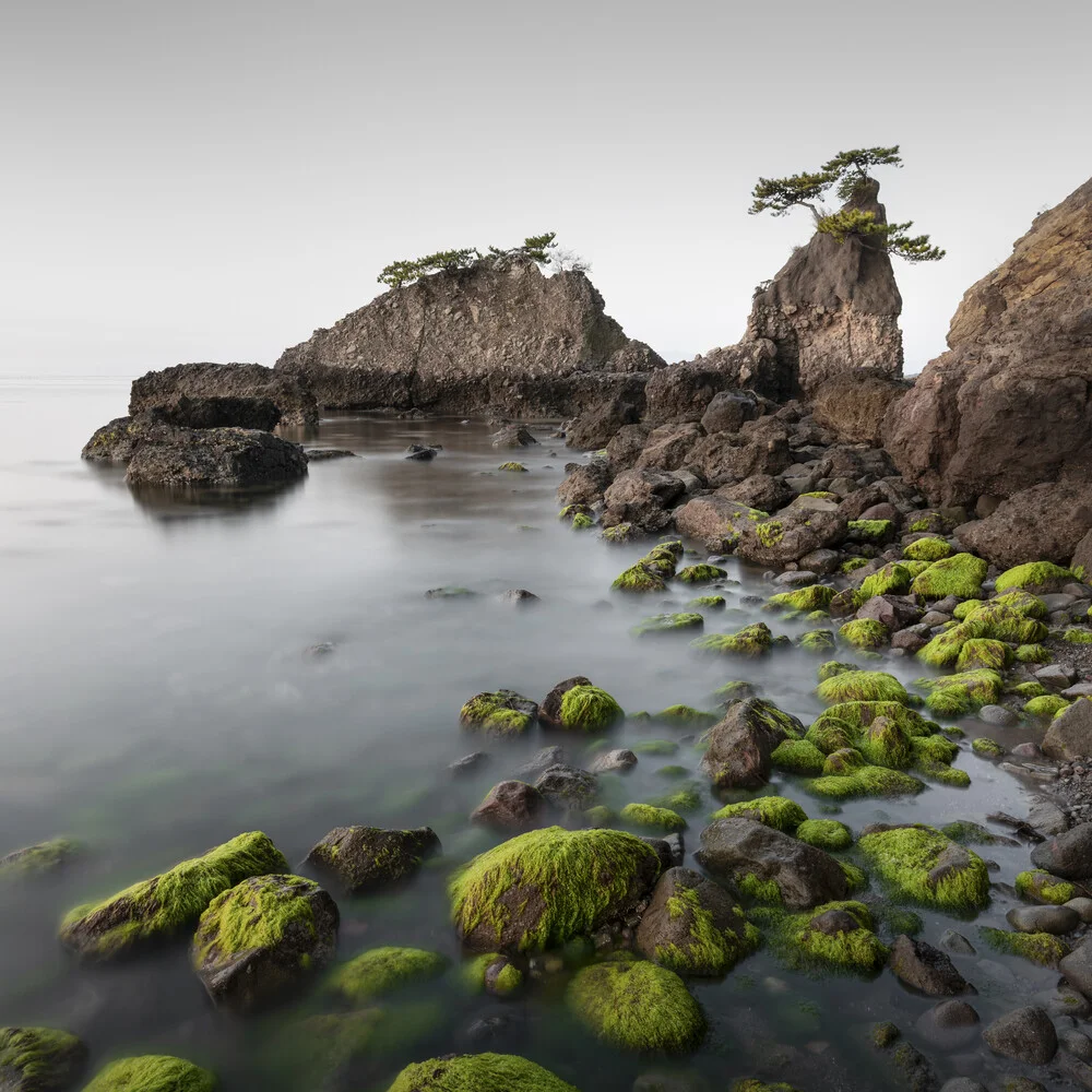 Costa di Ōita | Giappone - Fotografia Fineart di Ronny Behnert