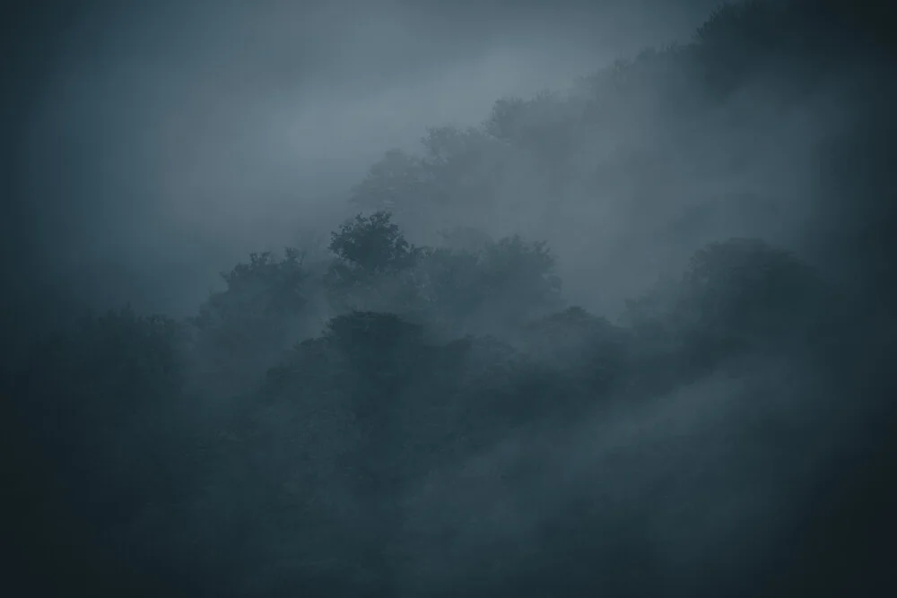 Misty Forest - Fotografia Fineart di Franz Sussbauer